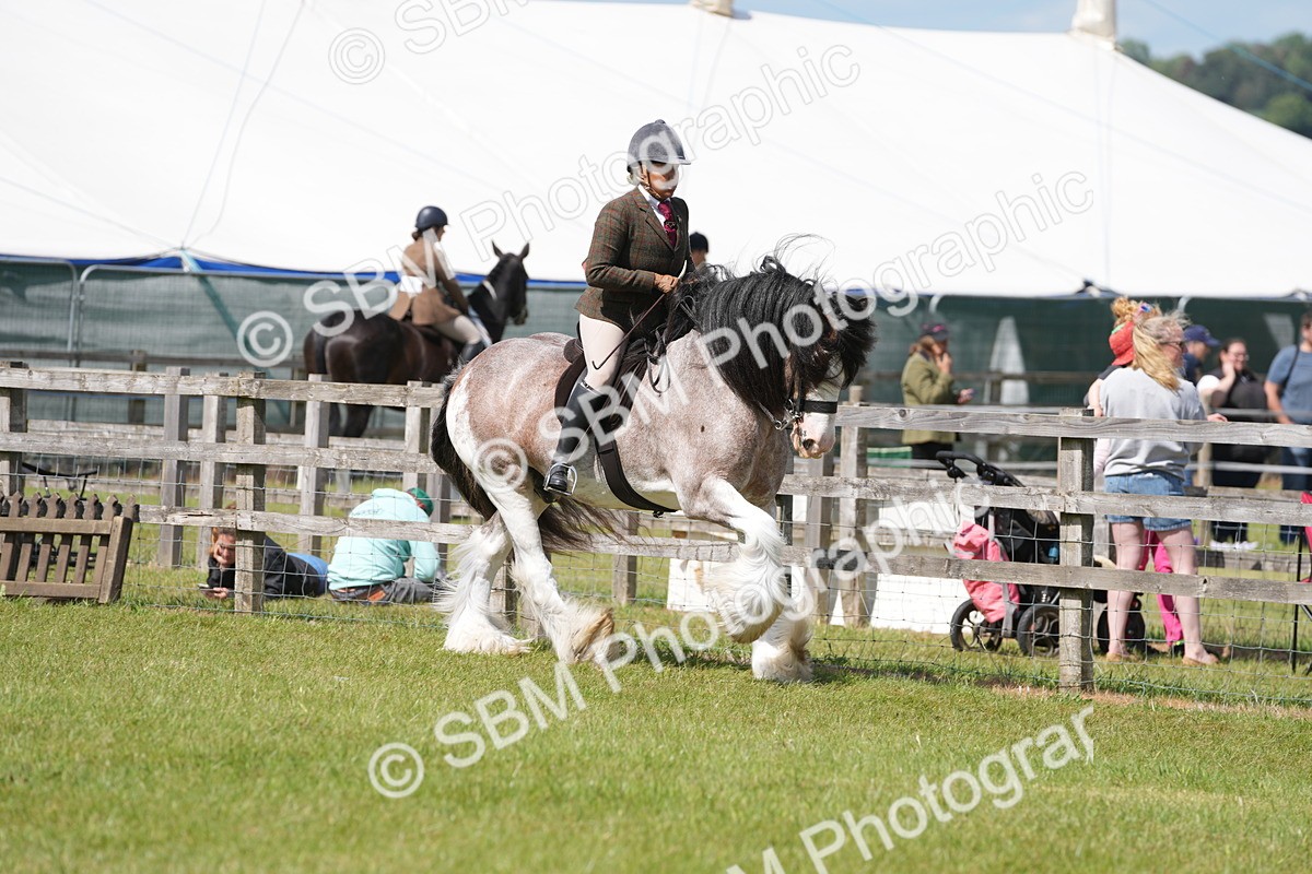 SBM_17121 - Class 107-108 - LIHS BSPS Performance Coloured Horse Pony