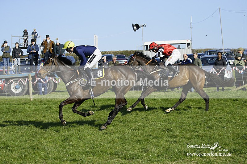 PtP 190322 743 - Wilton Hunt PtP Milborne St Andrew 19/03/22