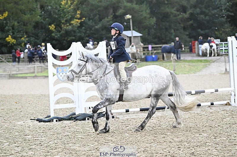 251005A-084752-02844 - Cls 02 GR 50cm