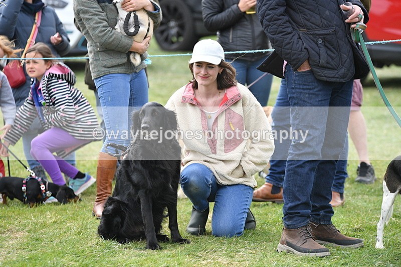 WJ5_0135 - Class 5 Best Veteran / 7 years & over