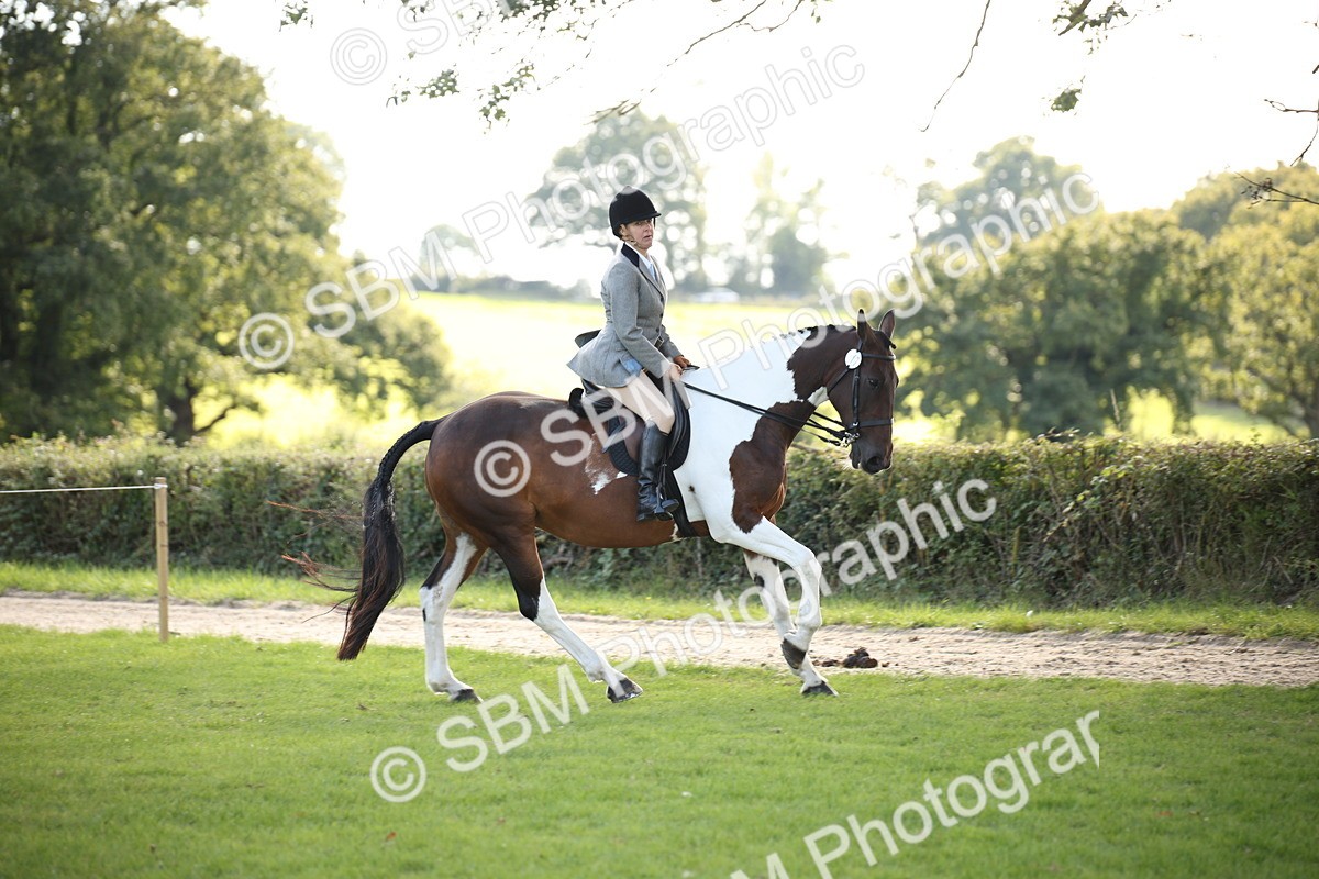 SBM_50117 - S26 - Young Veteran - Ridden