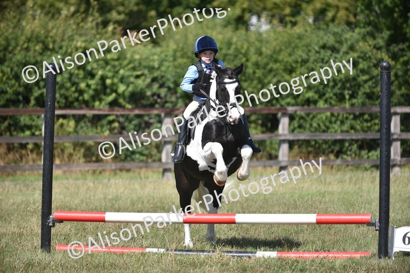 20260906-1714 - Class 9 - Absolute Novice Jumping 45cm