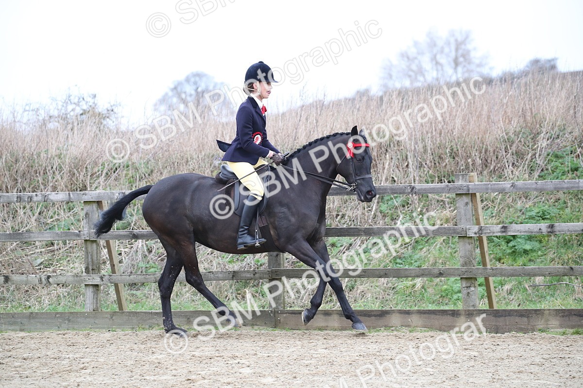 SBM_004794 - Class 5-9 - NPS In Hand-Show Hunter-Intermediate Ridden Inc Ridden Championship