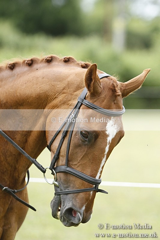 BVR160717-2221 - Ring 3 BVRC Show 16/07/17