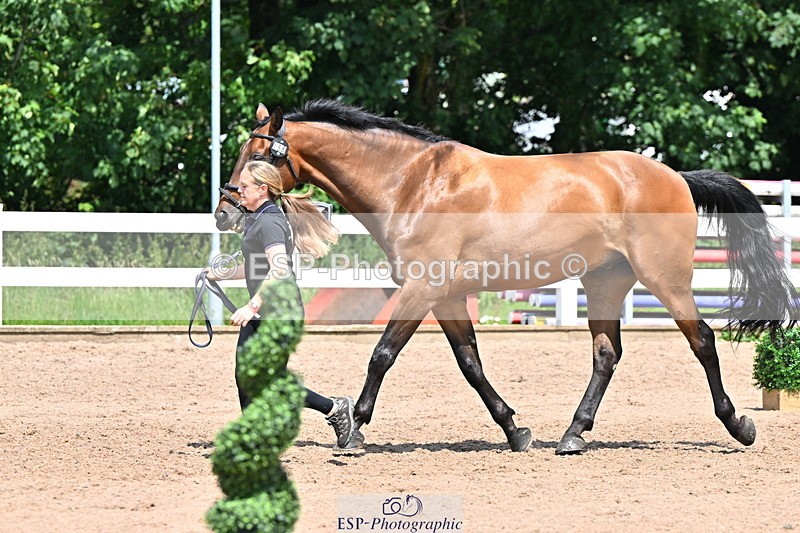 240718A-105317-01810 - Trot Up 1pm to 2pm