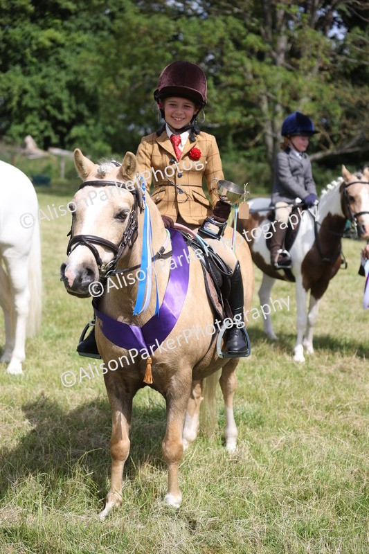 20260614-0846 - Class 20 - Beginners Working Hunter Pony