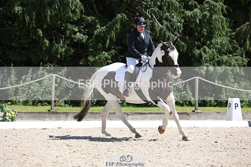 230811-135426-01919 - Cls 1 Prelim Bronze 13.30 to 14.50 break