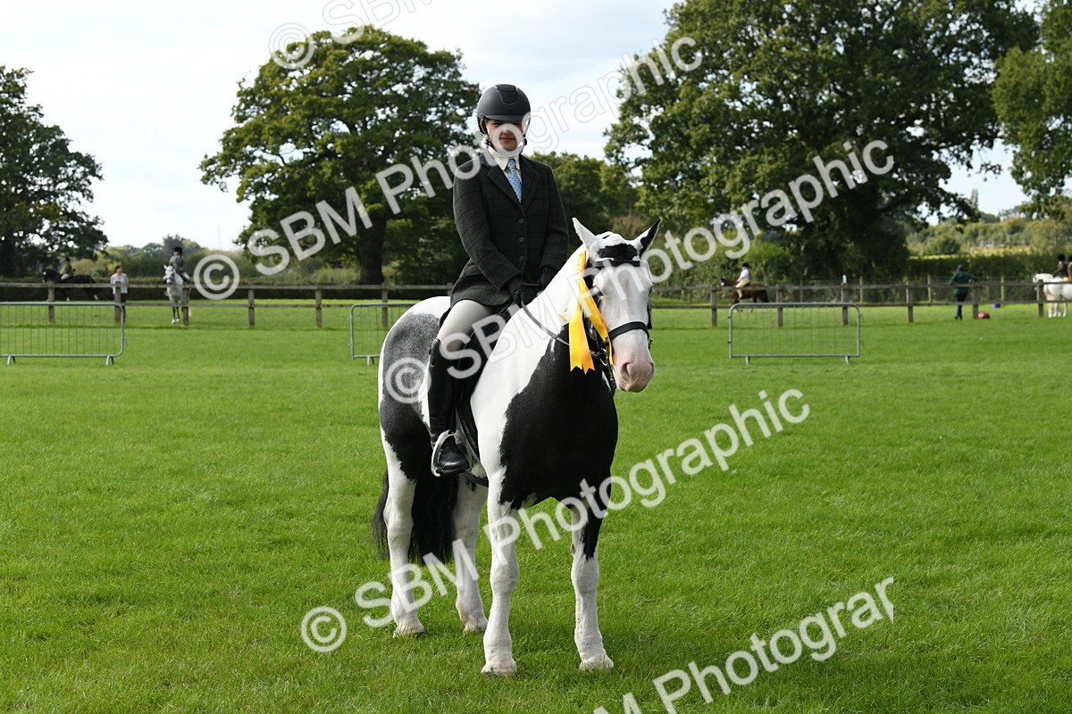 SBM_47270 - S12 - Family Horse & Pony
