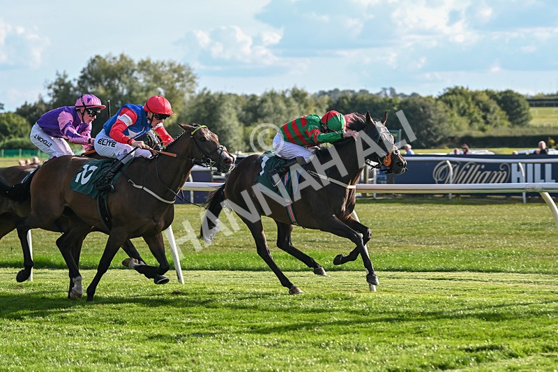 090925-Race 7-Original Thinker-9683 - Race 7