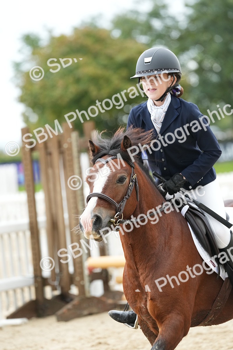 SBM_33458 - J5 - Junior Pony 50cm Championship