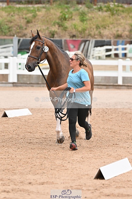 250716-144117-01304 - Trot Up 2.30 to 3.30