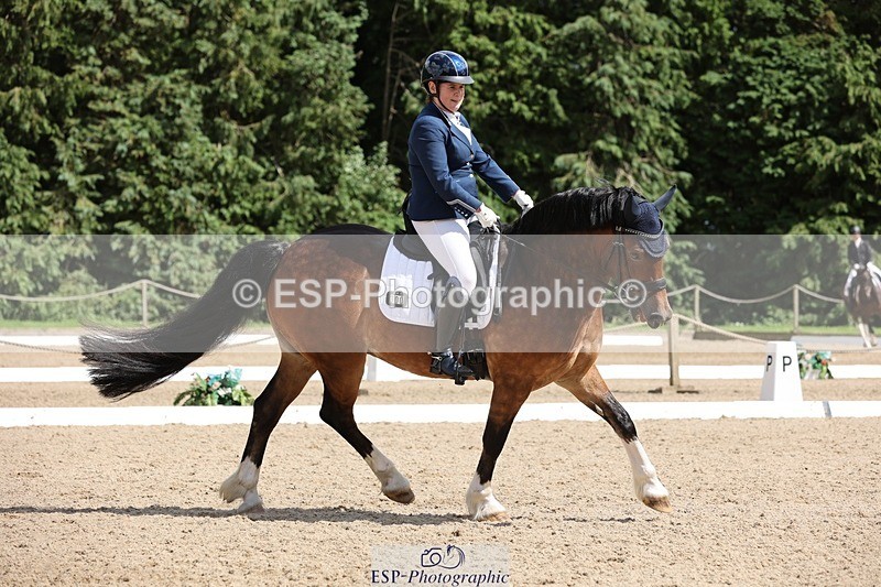 240721-151648-09671 - 300-Alison_Crimp-Crwys_Beau