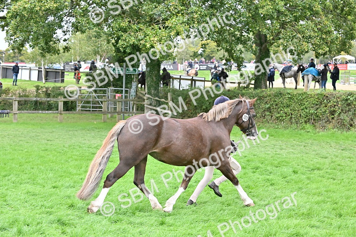 SBM_68592 - S42 - Junior Handler 9-12 Years