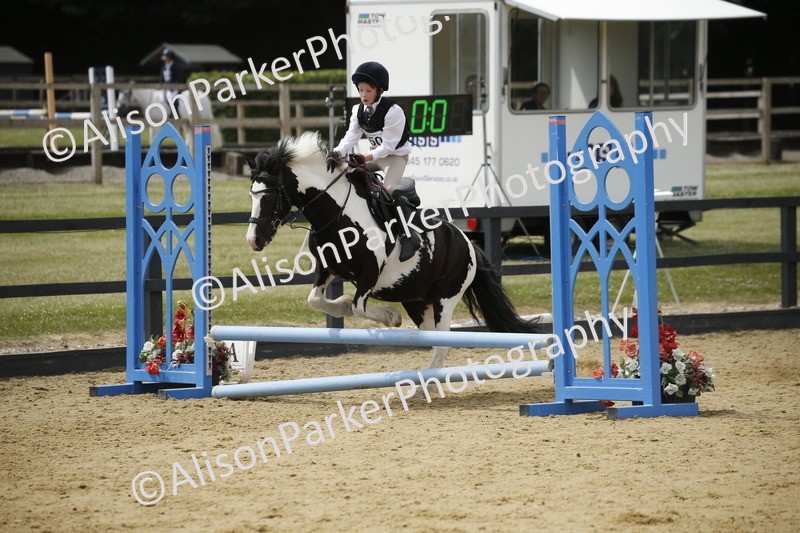 20250622-4628 - 50cm