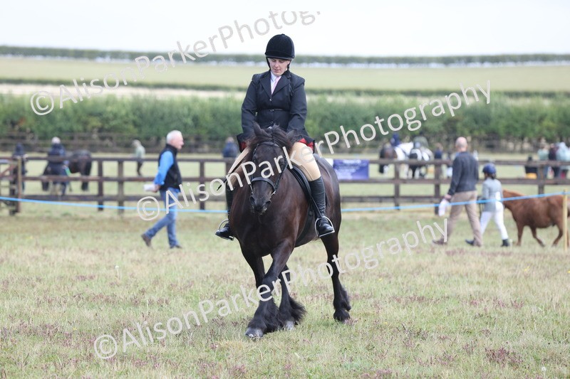 20250831-2427 - Class 16 - Family Pony