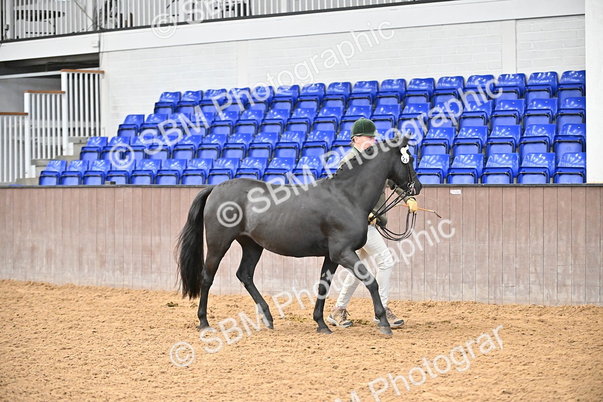 SBM_000689 - Class 11,12,13 - SSADL In Hand Seniors