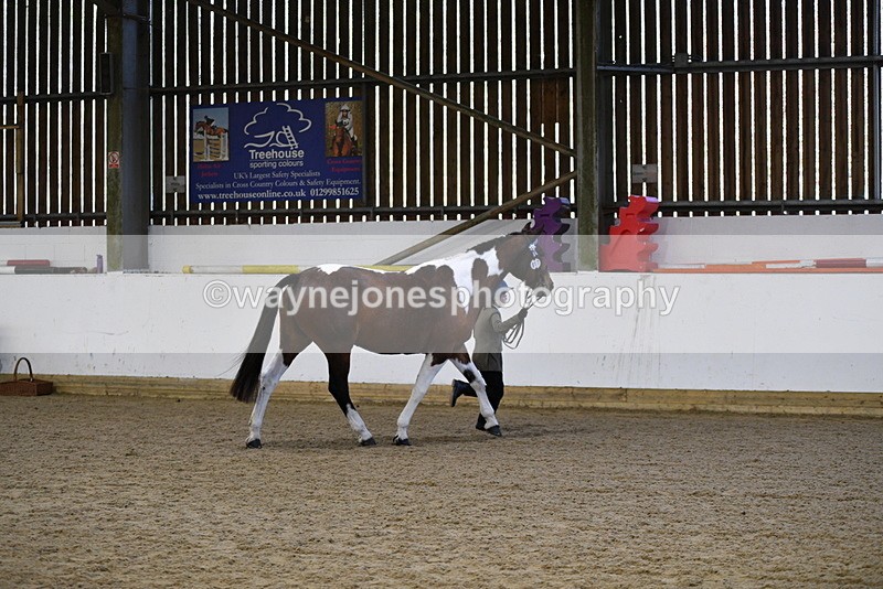 WJ5_3858 - Class 5 In Hand Veterans