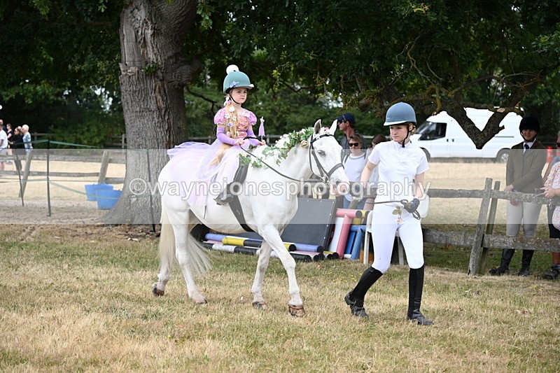 WJ6_4622 - Class 11 Fancy Dress