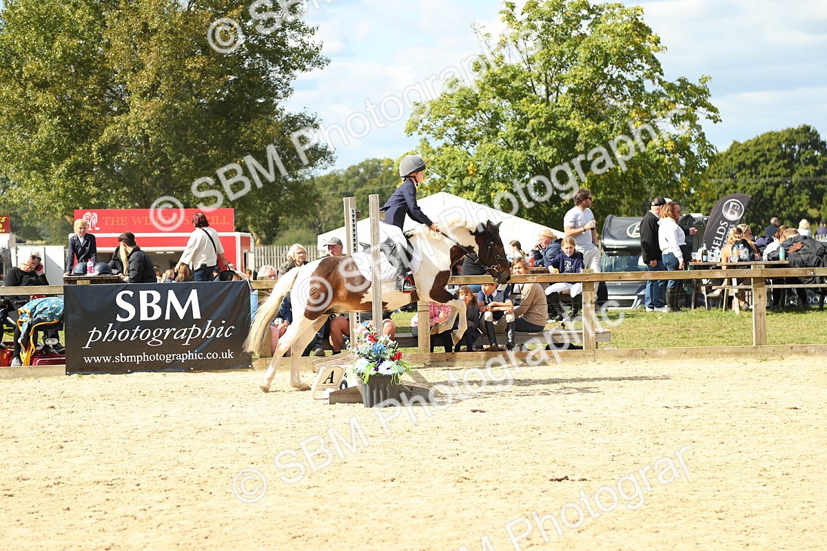 SBM_39499 - J6 - Junior Pony 55cm Championships