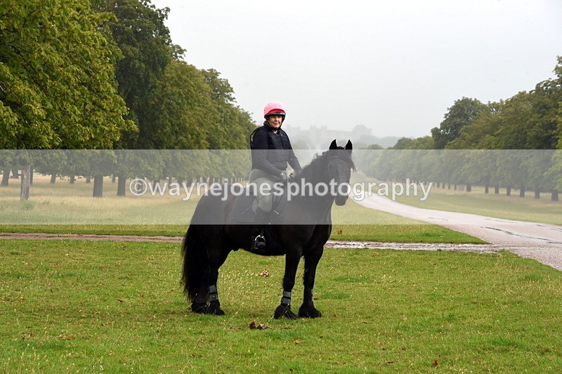 TT3_8032 - Time at Crossing 09:15 to 10:15