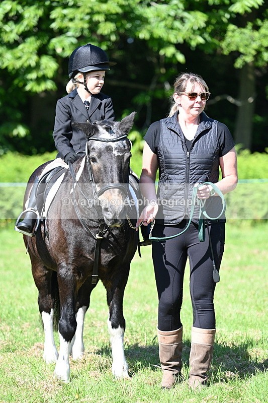 WJ7_0486 - Class 8 First Rally Pony