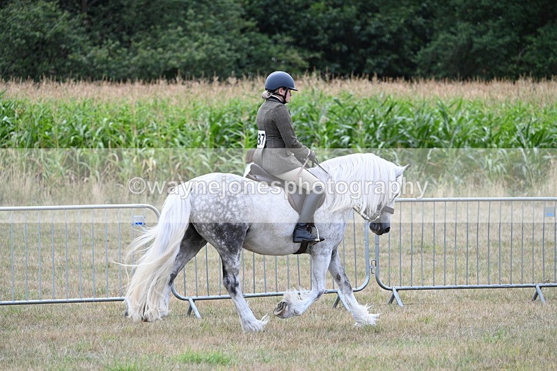 WJ7_4815 - Class 12 Ridden Cob