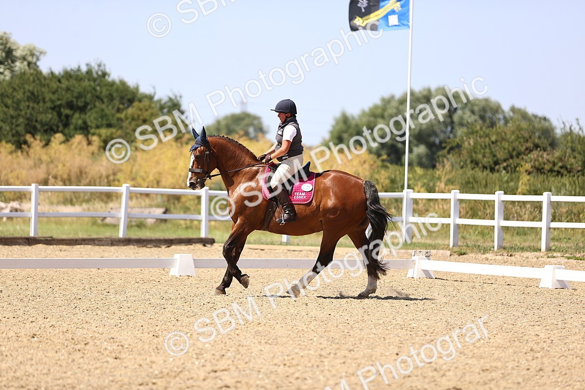SBM_012262