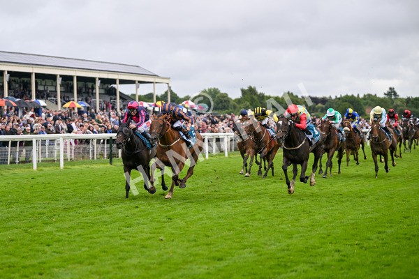 130724-Race 6-Zimmerman-7686 - Race 6 4.50pm John Smith's Stayers' Handicap