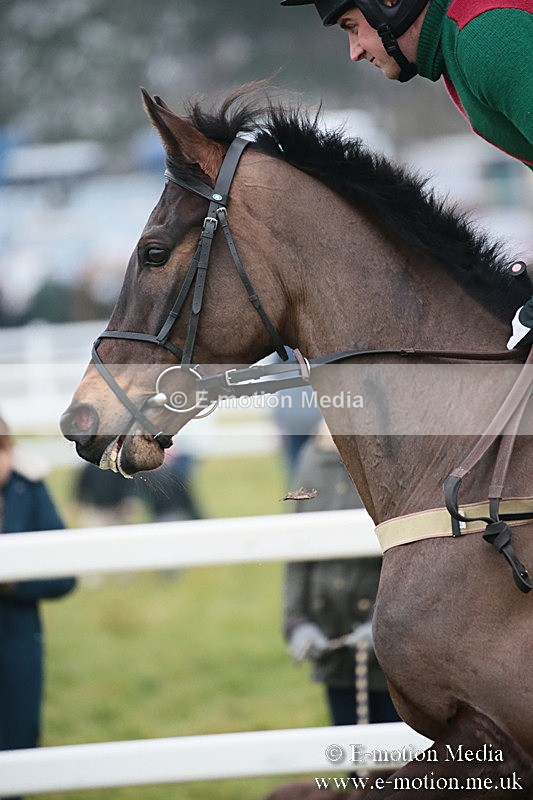 PtP 170219 -397 - Combined Services Point-To-Point Larkhill 17/02/19