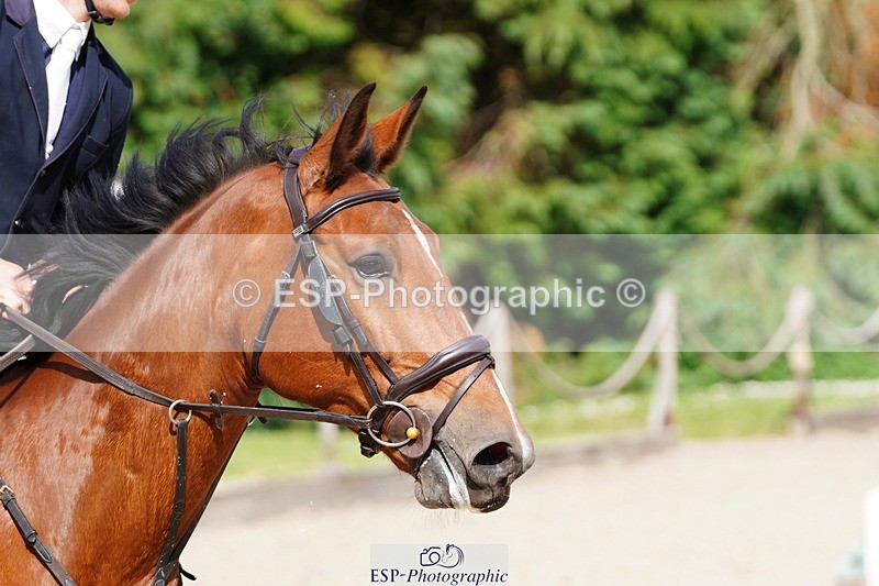 250615A-164428-12580 - Class 50 Snr Newcomers