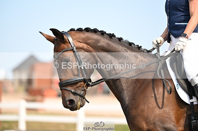 250816-141222-05041 - 052-Marcela.PomphreyLinkeltje.DE.J