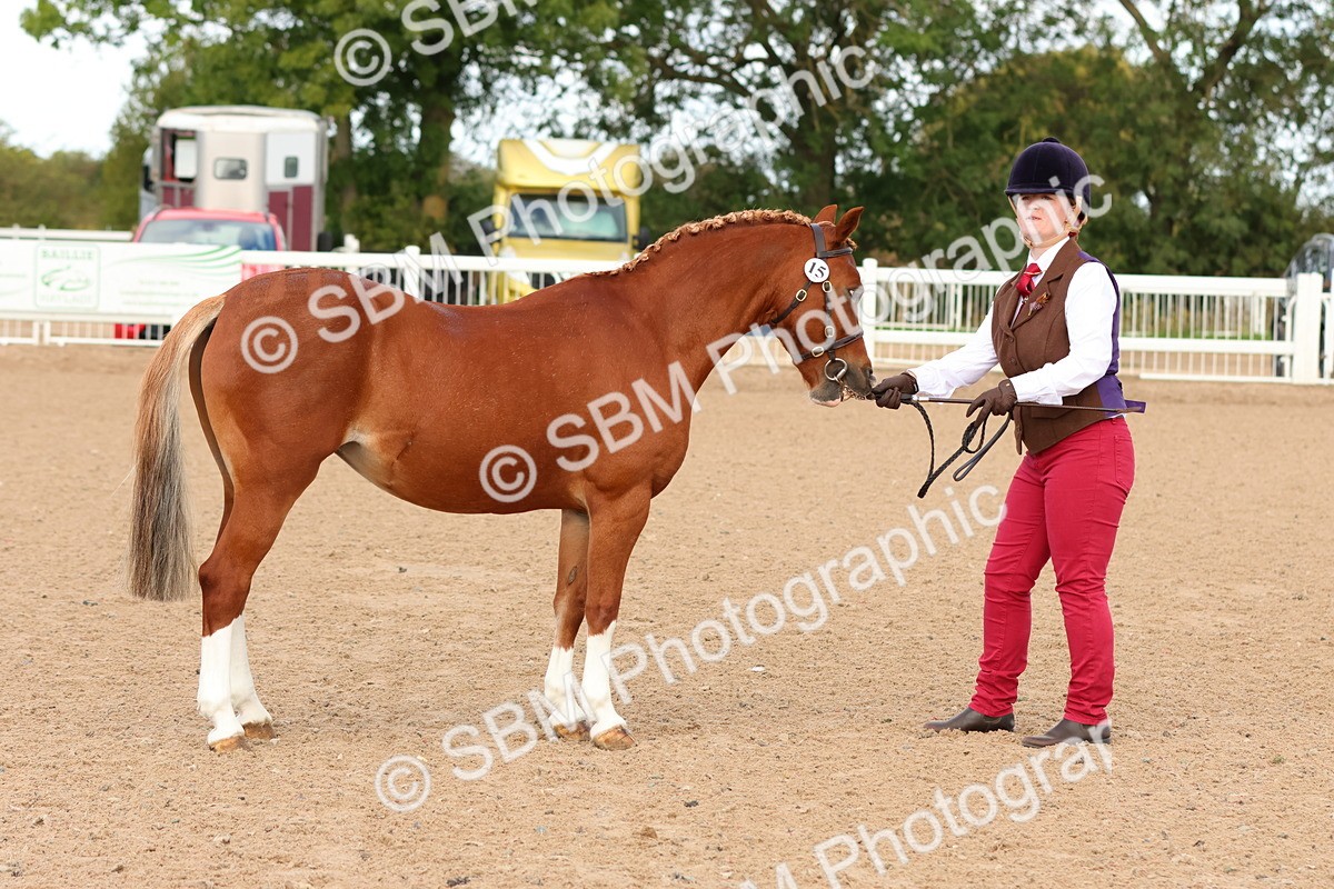 SBM_09194 - Class 204 - Young Handler