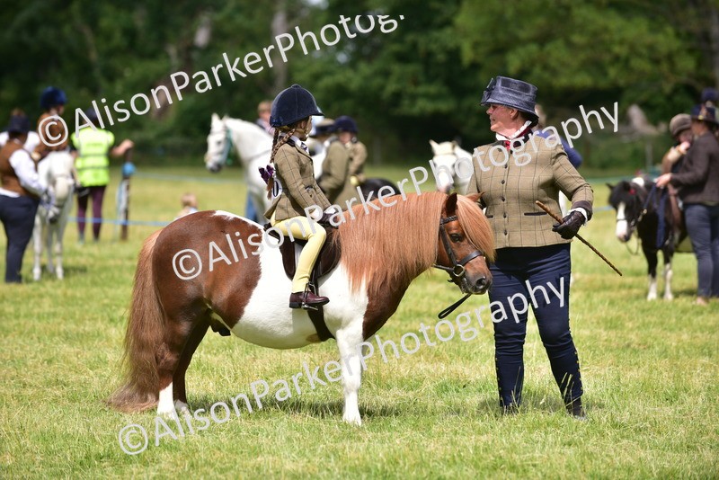 20260614-1265 - Class 11a - Lead Rein Pony (Unplaited)
