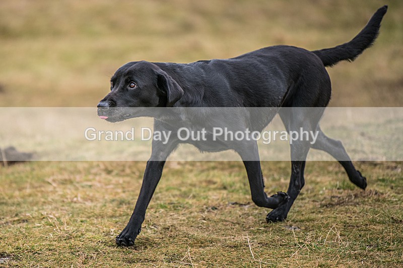 Cunswick -688 - Kendal Winter League Cunswick Scar Senior Fell Race Sunday 26th January 2025