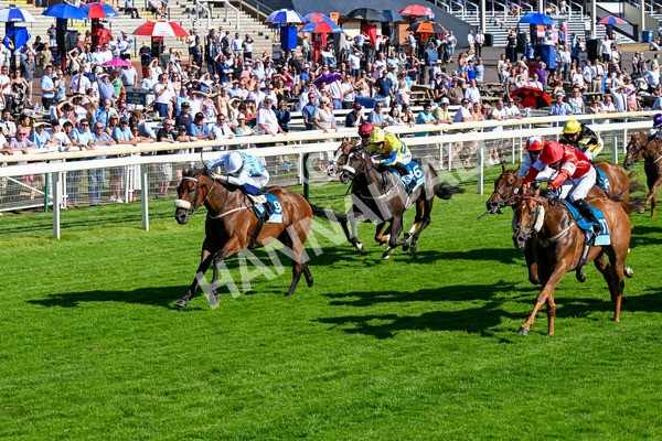 110725-Race 6-Brazen Bolt-0496 - Race 6 5.07pm William Hill Keep Your Raceday Positive Handicap