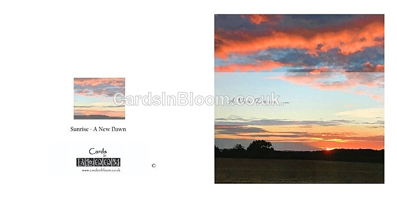 08 A New Dawn Book - A NEW DAWN