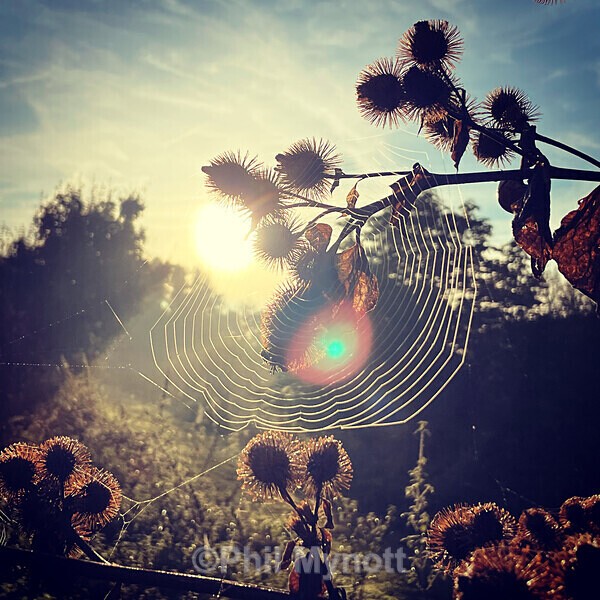 PhotoMynottART092 - Photo Mynott ART Images