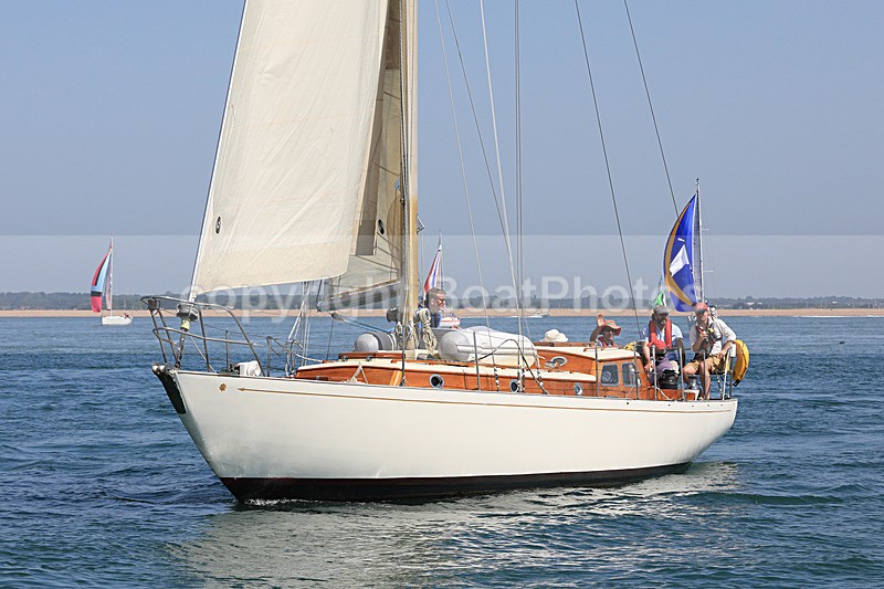 190629 ZIRCON 1196 1Y3A9945 - 190629 ZIRCON 1196