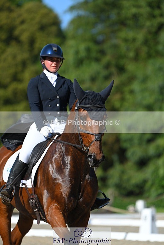 230526-173447-07651 - 264-BALLADEER_JUST_FOR_KICKS-Ellie_Healy-WEDTrotUp+DR