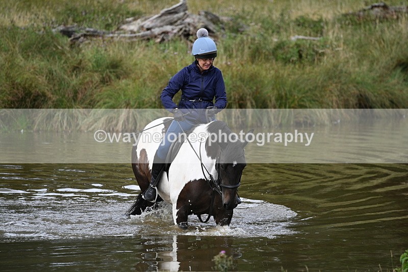 WJ7_1433 - Time at Water 10:09 to 10:47