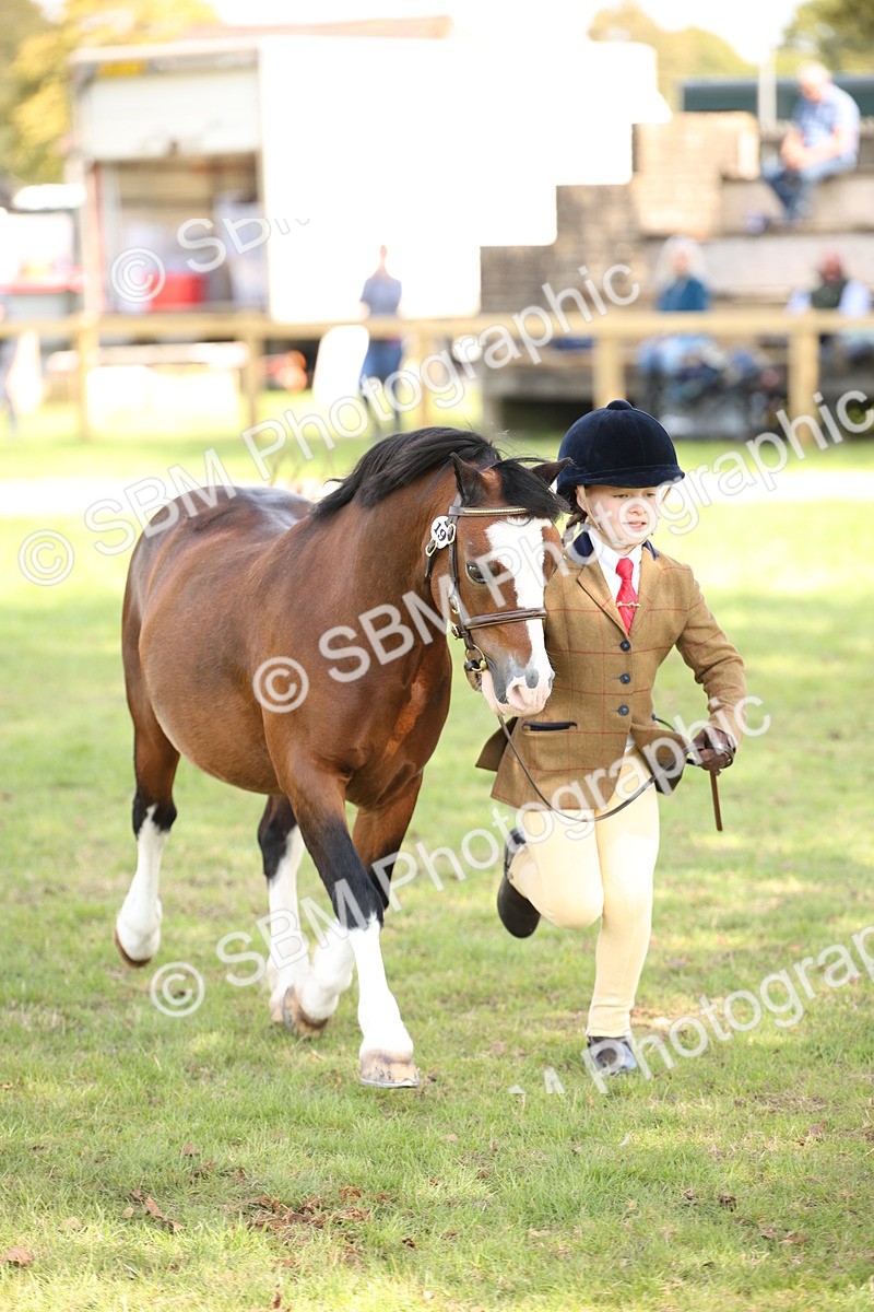 SBM_44437 - S24 - Young Veteran in hand