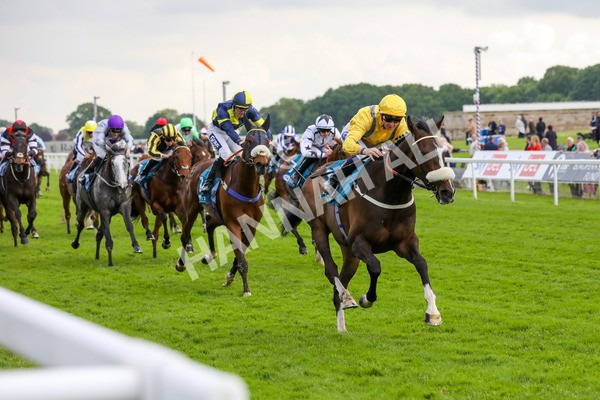 150524-Race 7-Dancing In Paris-1650 - Race 7 5.20pm Stuey Weston & Friends Getting Out Handicap