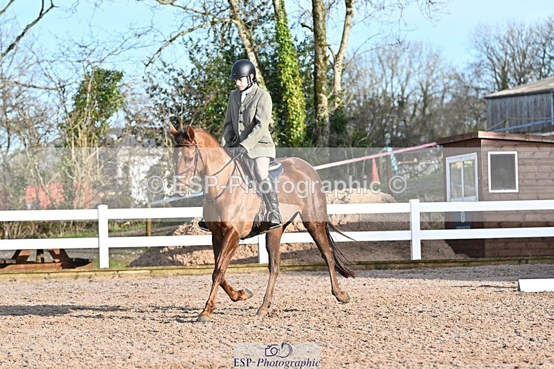 250125-102344-00160 - Dressage - CT Class 4 BE95 (80cm)