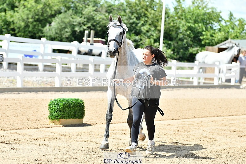 230719A-120444-00087 - Trot Up 12pm to 1pm