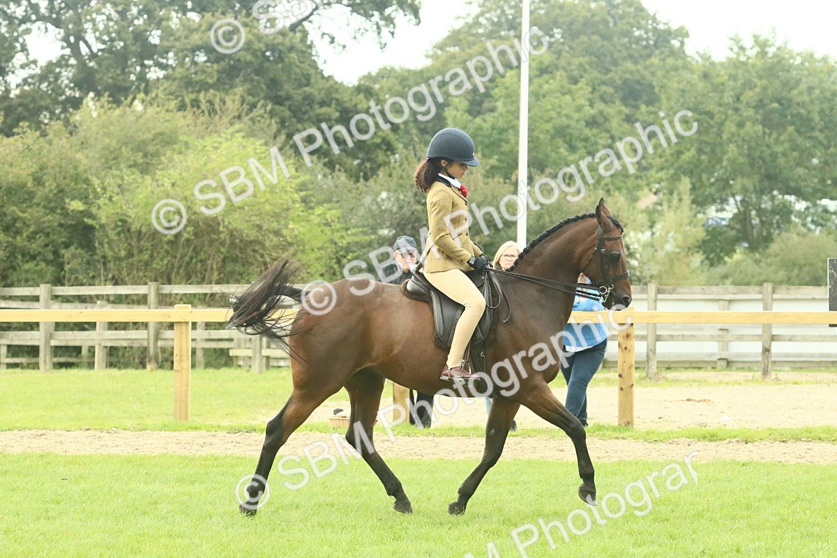 SBM_74075 - S 61 - Show Pony & Show Hunter Pony Ridden