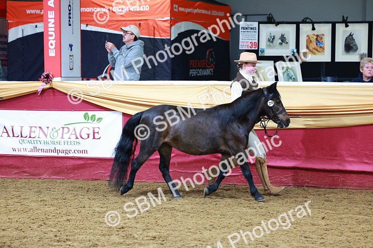 SBM_15993 - Class 901 - Sup Final - IH Diamond