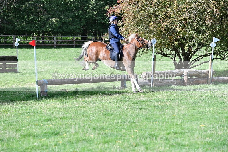 WJ5_8196 - Time 10:31 to 12:01