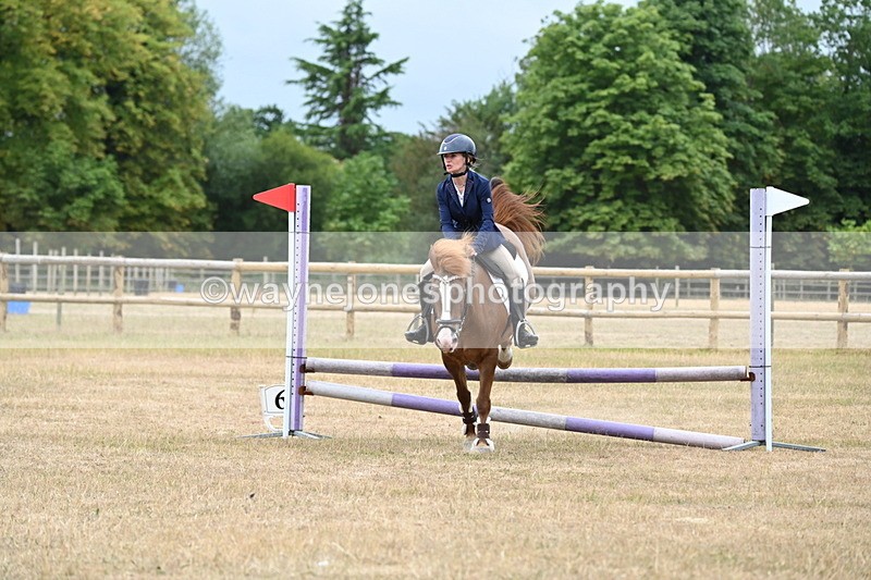 WJ6_0397 - Class 13 Novice Jumping 60cm