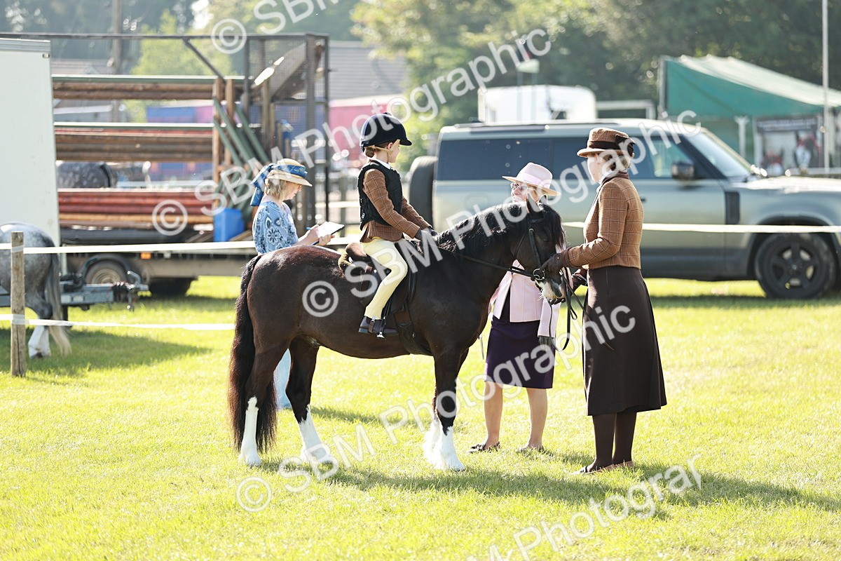 SBM_11276 - Class 106-107 - BSPS LIHS Working Sports Pony