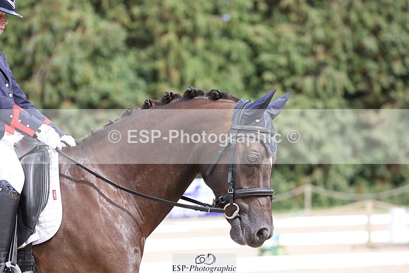 250718A-155329-02711 - 172-Sophie.Luscombe-Wynwillow.Corniche